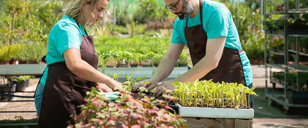 AWL Agri Business Expands into Ready-to-Eat Foods, Strengthens Sustainability Initiatives