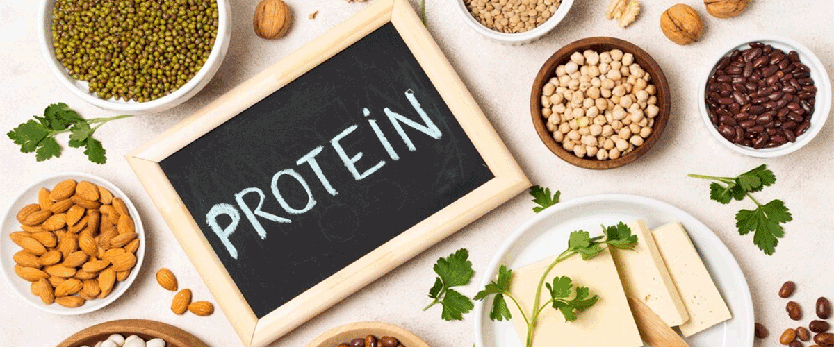 Plant-based protein is linked to a longer life, research reveals. Meat or veg?