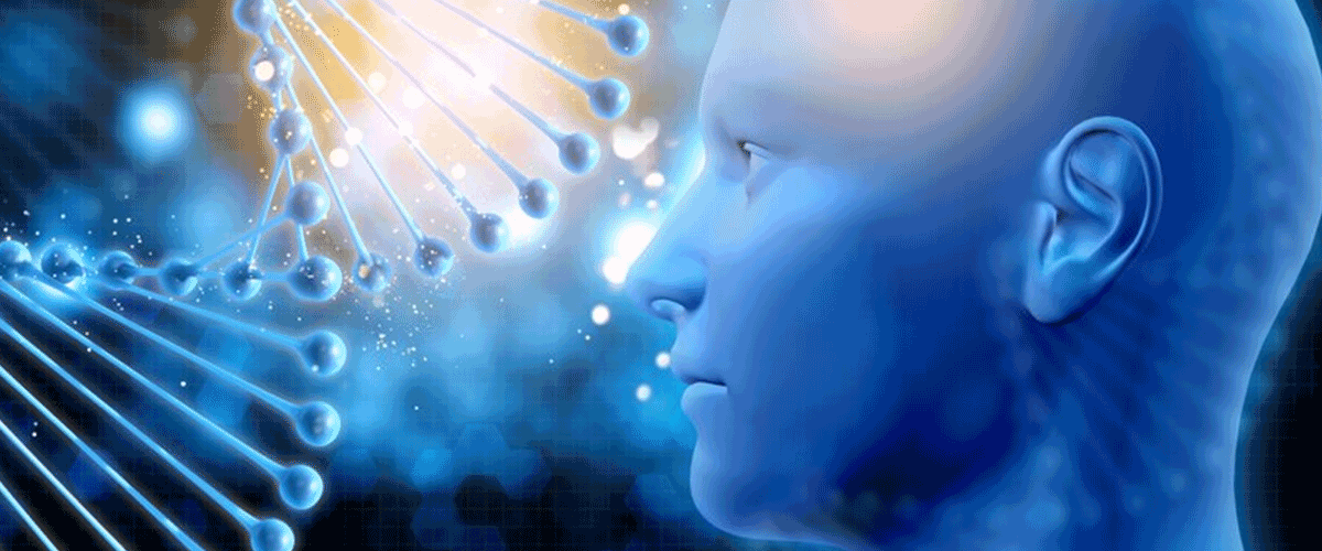 Cellphire Therapeutics ceases enrolment in trial of CLPH-511 following IDMC feedback