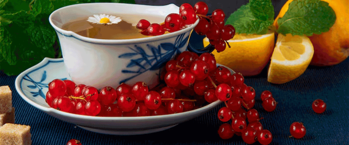 Fytika Unveils Sea Buckthorn Juice for Holistic Wellness