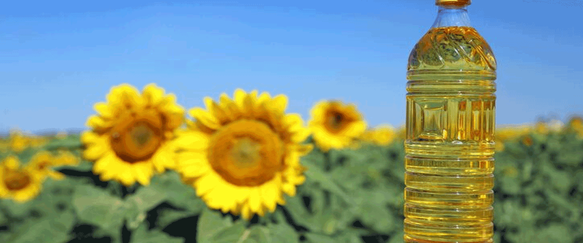 Freedom Sunflower Oil Launches ‘Coaching the Coach’ to Promote Honest Packaging