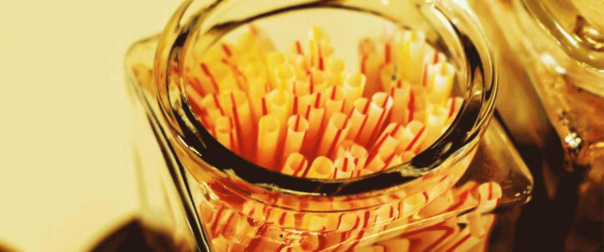 GNC India Launches First-of-Its-Kind Ayurvedic Honey Sticks for Energy and Stress Relief