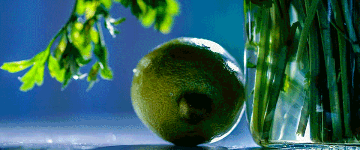 Westfalia Fruit and AgroSustain Partner to Boost Sustainability in Avocado Supply Chain