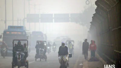 Health Gains Reduced Air Pollution Death Risk Despite Rising Global Toll