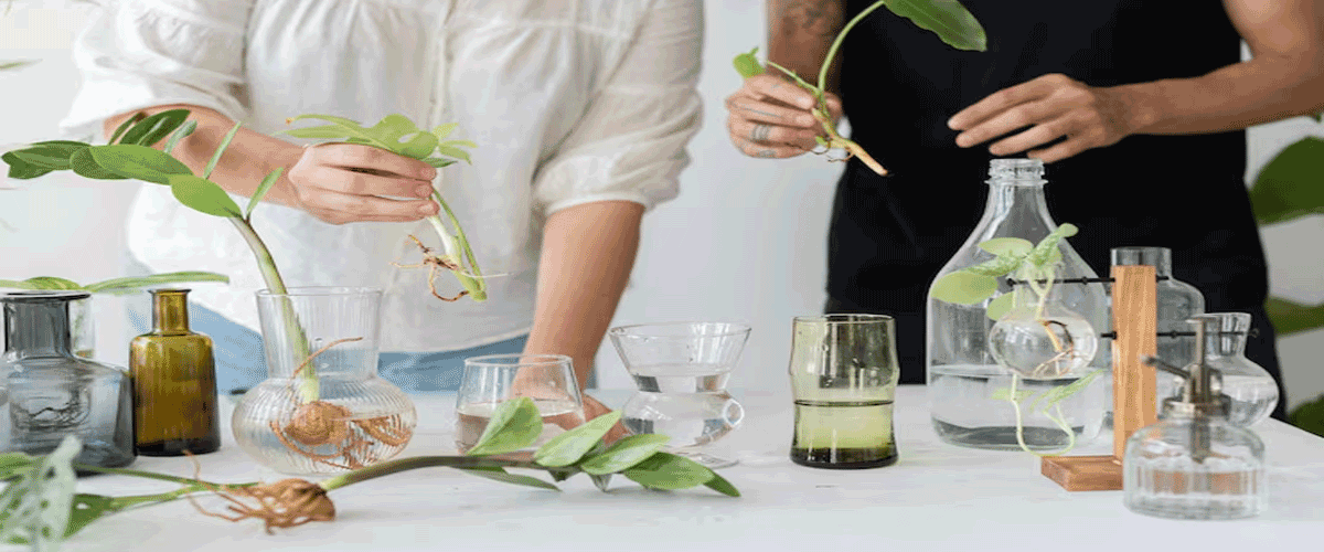 Beauty Industry Turns to Biotechnology and Upcycling for Sustainable Product Development