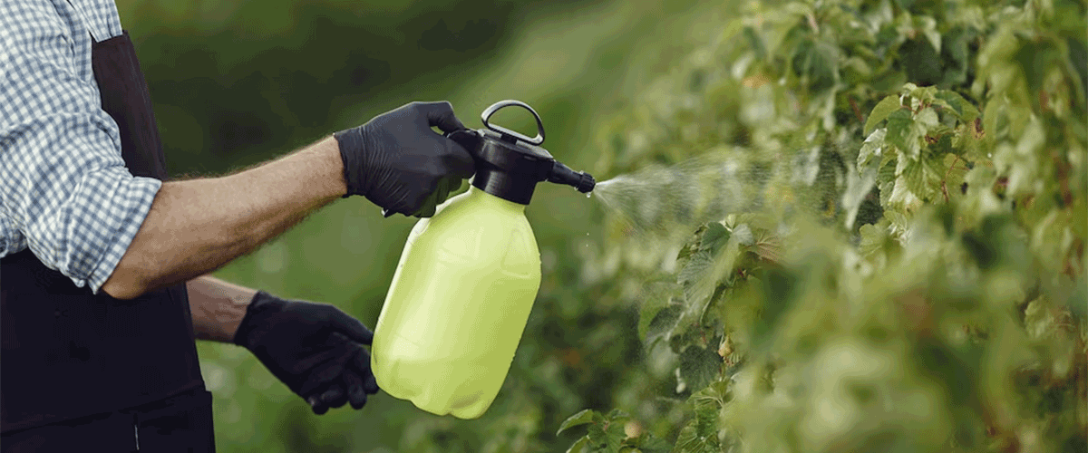 EPA Eases Pesticide Restrictions, Sparking Debate Over Environmental and Health Risks