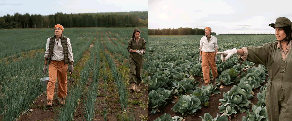 Vermont’s Neonicotinoid Ban Poses Challenges for Farmers