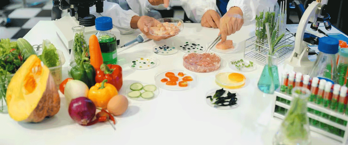 Scientists Discover How the Body Learns to Tolerate Food