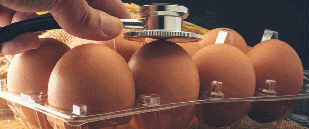 UK Salmonella Outbreak Potentially Linked to Imported Eggs