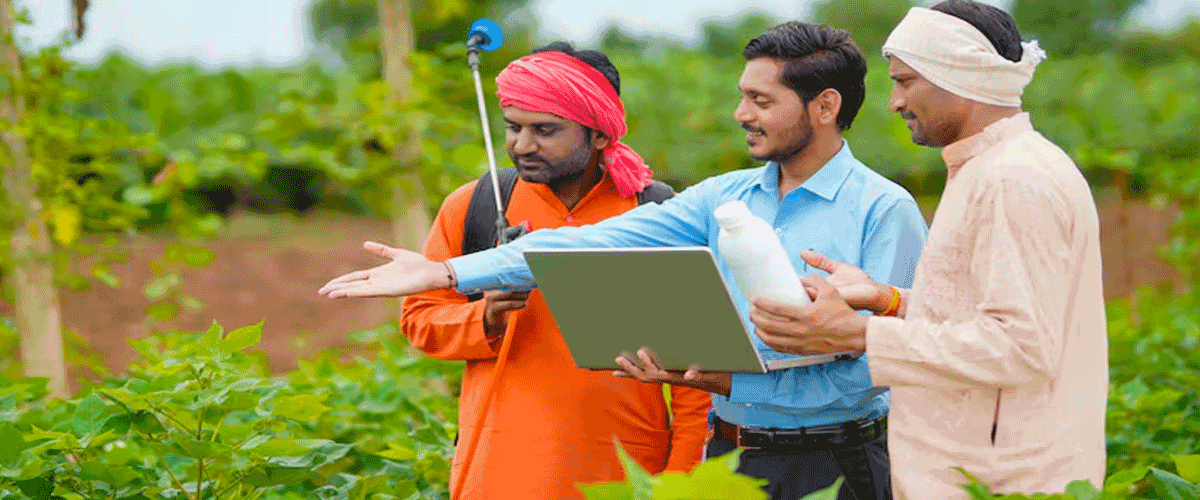 Punjab Stakeholders Develop Coordinated Strategy for Sustainable Crop-Residue Management