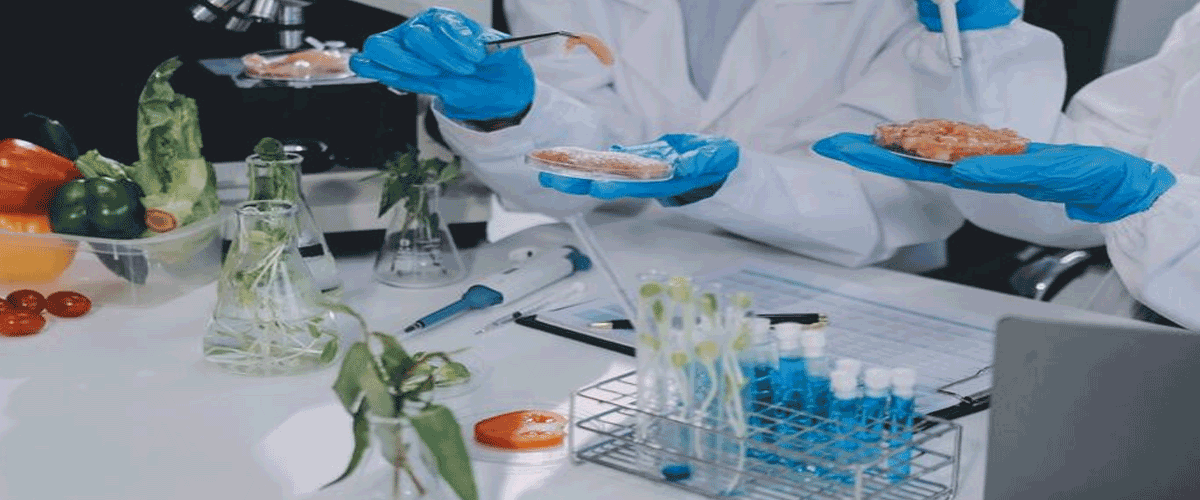 CSIR-CFTRI Symposium Highlights Innovation in Food Product Development