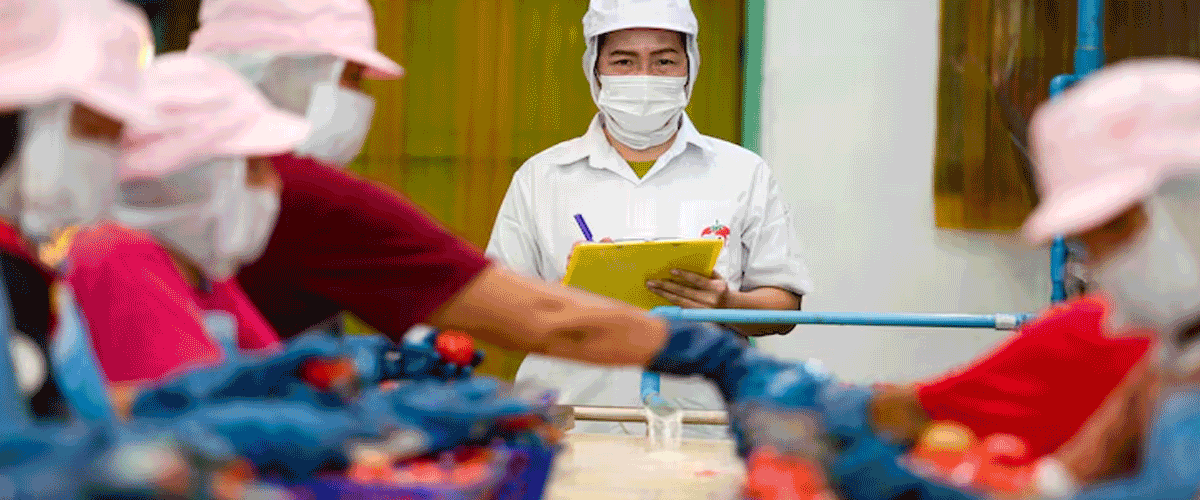 FSSAI Calls for Stronger Food Safety Enforcement Across India