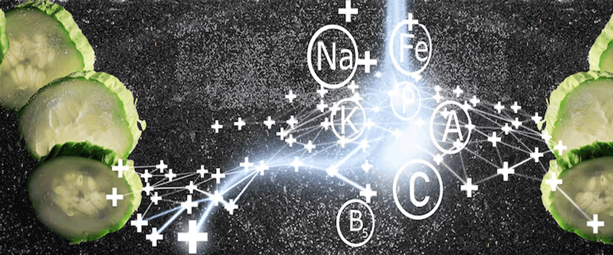 Leucine Identified as a Key Nutrient That Boosts Cellular Energy