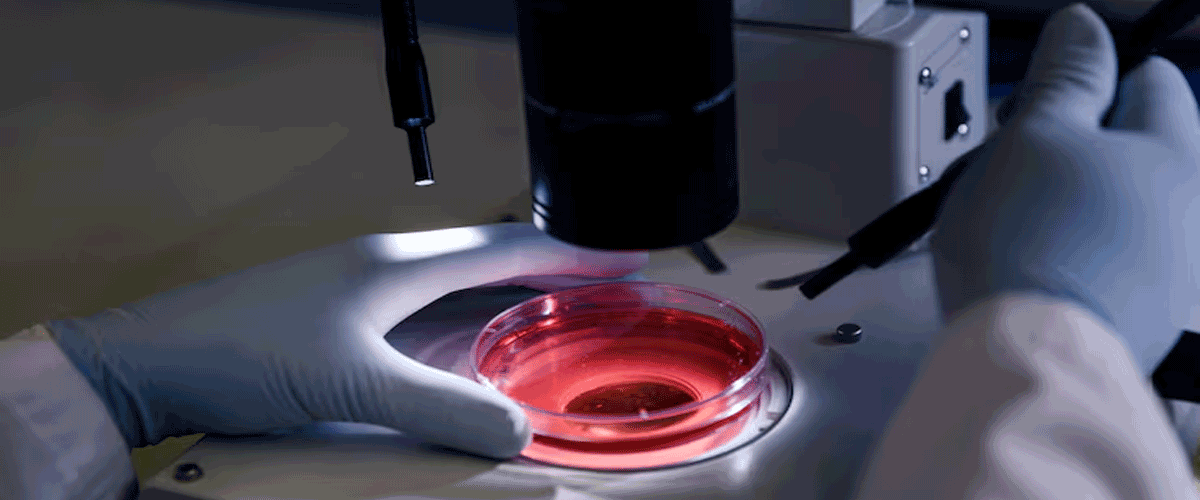 Overture’s DaVitri Gains CE Mark to Automate IVF Embryo Vitrification