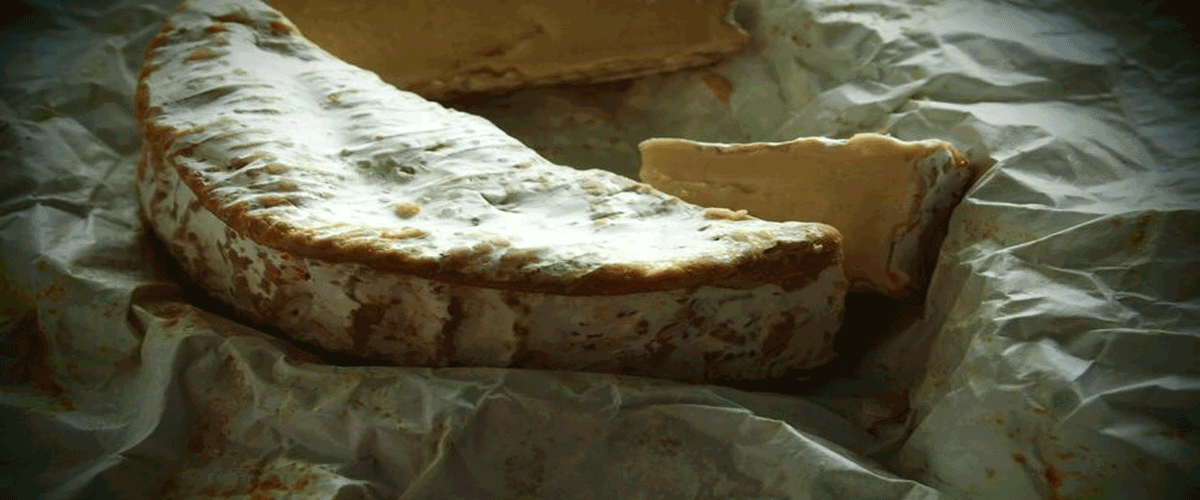 New Zealand Warns Against Illegal Sale of Landfill-Discarded Cheese