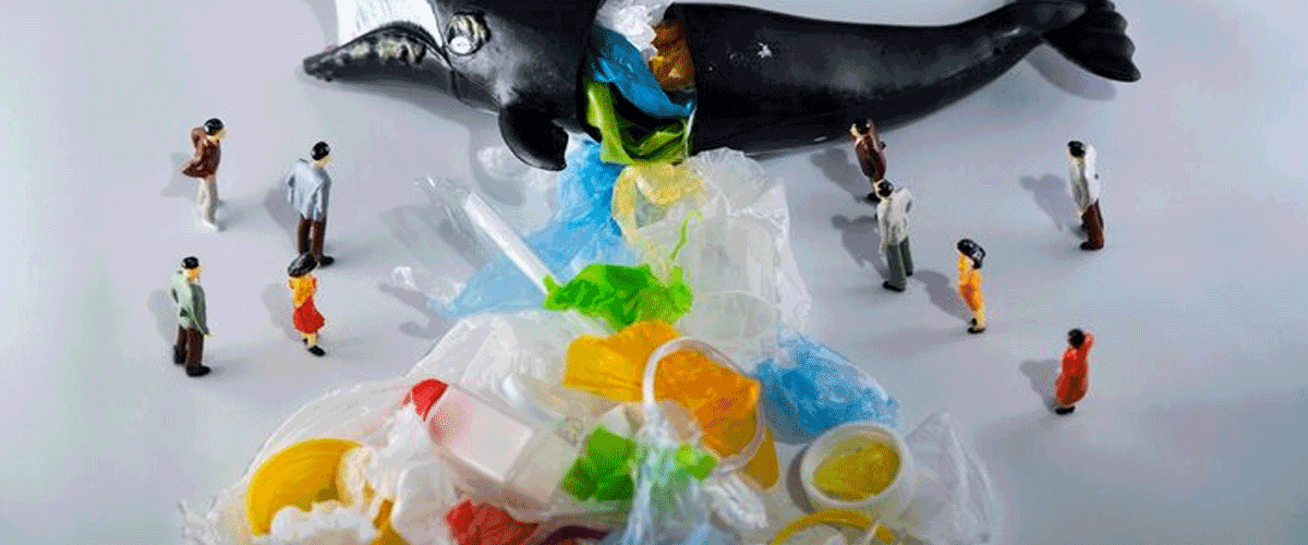 Food Waste Decays, Plastic Stays: Rethinking Modern Morality