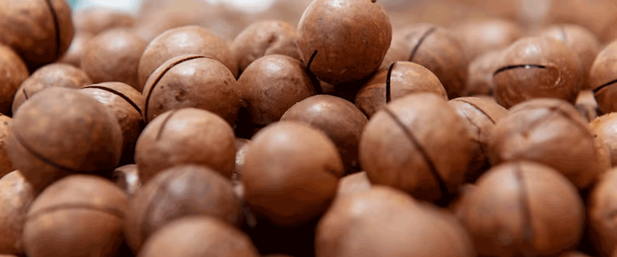 Dan-D Pak Raw Macadamia Nuts Recalled in Canada Over Salmonella Risk