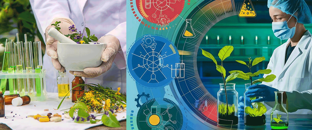 Scientific Research and Standardisation Drive Ayurveda Towards a Modern Healthcare Role