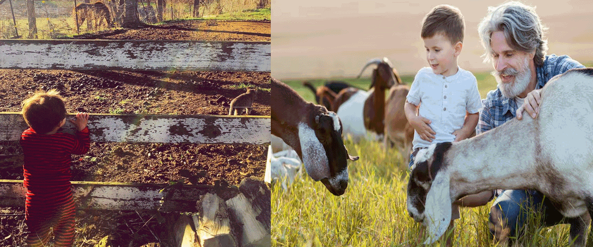 California Farmworkers and Babies Face High Organophosphate Exposure