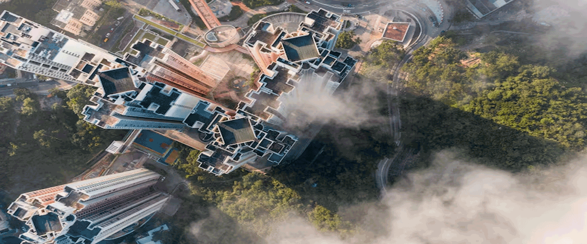 Google Backs Large-Scale Carbon Removal Project in Brazil