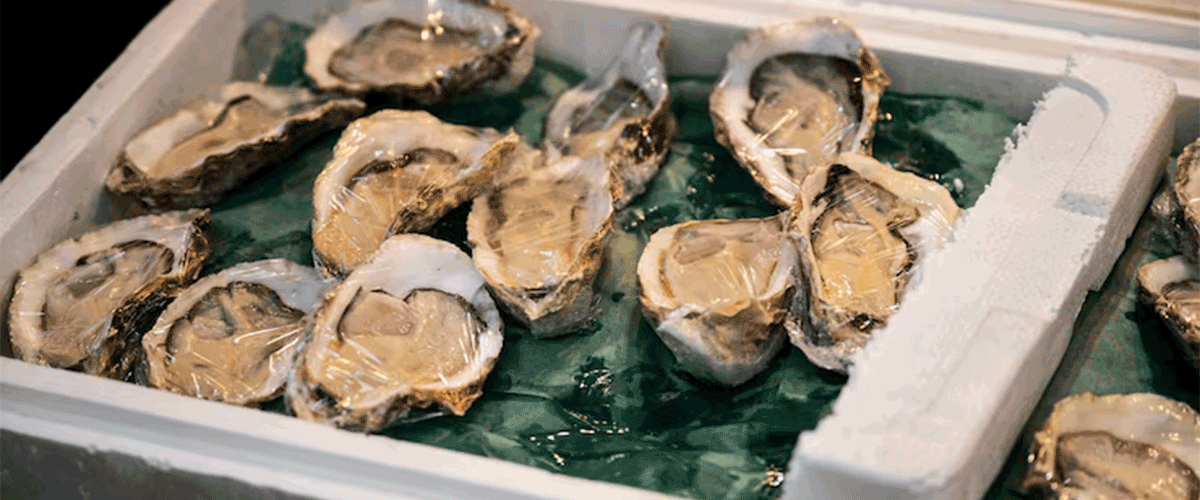 FDA Expands Recall of Korean Oysters Over Norovirus Contamination