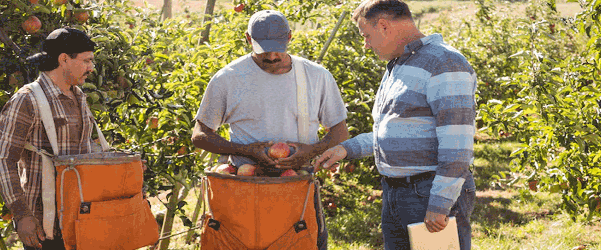 Kansas Farmers Receive Grants to Test Sustainable Farming Practices