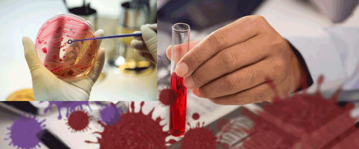 Henlius’ Hansizhuang Plus Chemotherapy Meets Primary Endpoint in Phase III Gastric Cancer Trial