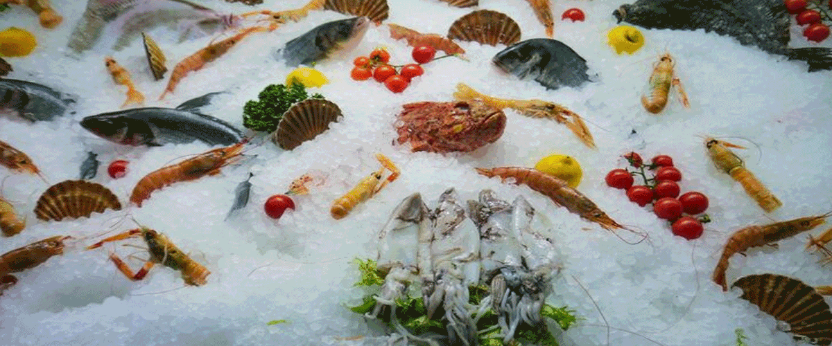 FAO and EU Launch €20 Million NAVAC Initiative to Expand Access to Nutritious Aquatic Foods