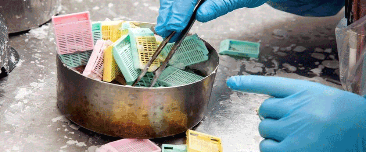 India Orders Action Against Illegal Nicotine Pouch Sales