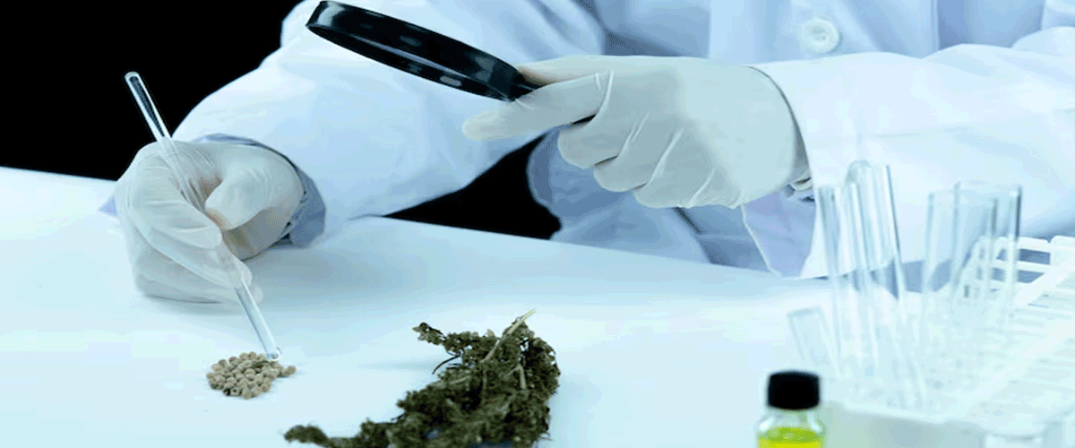 Harmony Biosciences’ Cannabidiol Therapy Misses Phase III Endpoint in Fragile X Syndrome