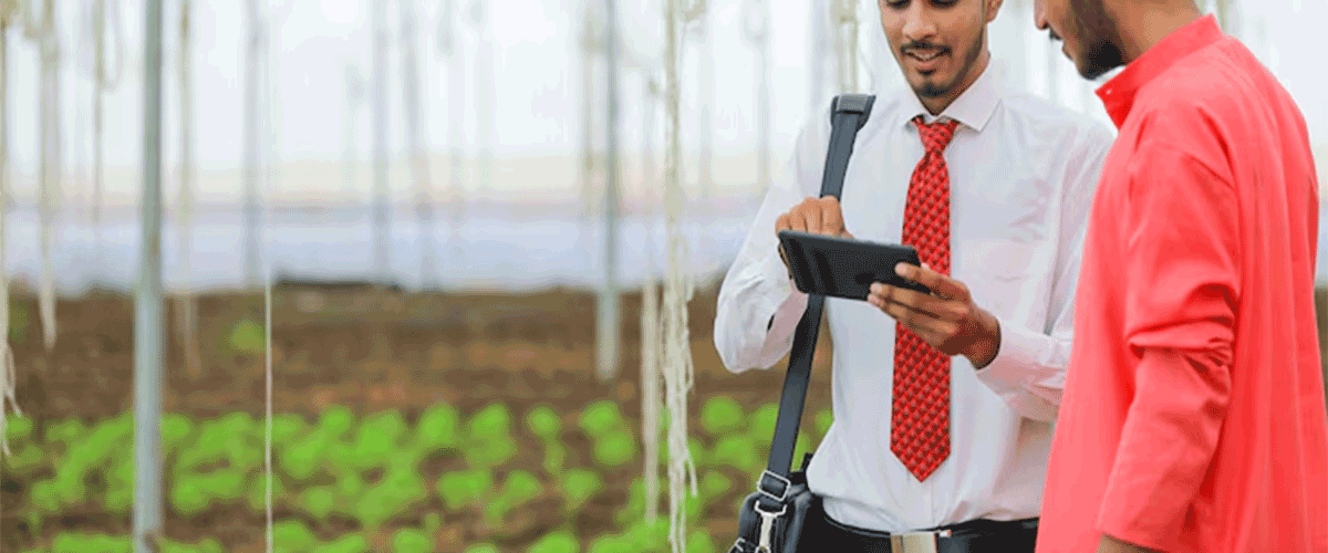 Farm Father Launches Instant Gourmet Sprouts Across India