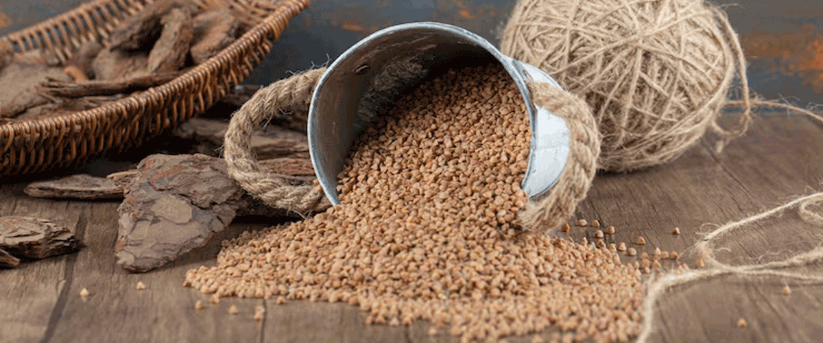 Are Ancient Grains Really Healthier Than Modern Grains?