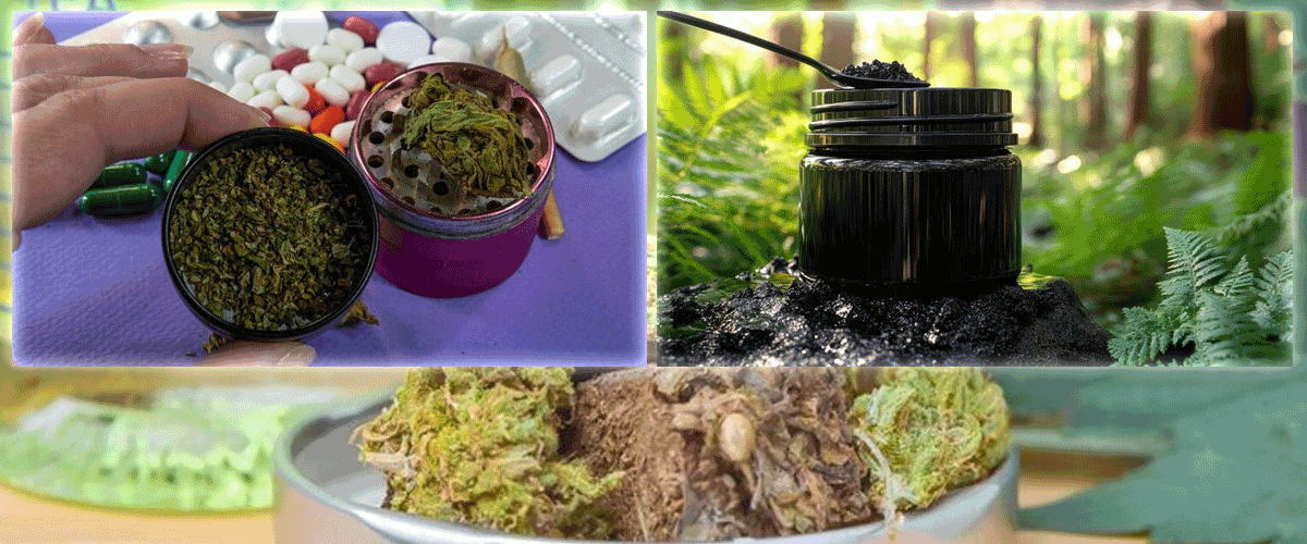 Bedrock MFG Recalls Monarch Premium Kratom Products Over Salmonella Risk