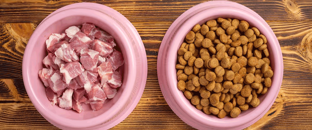 Raw Bistro Recalls Frozen Beef Dog Food Over Salmonella Risk