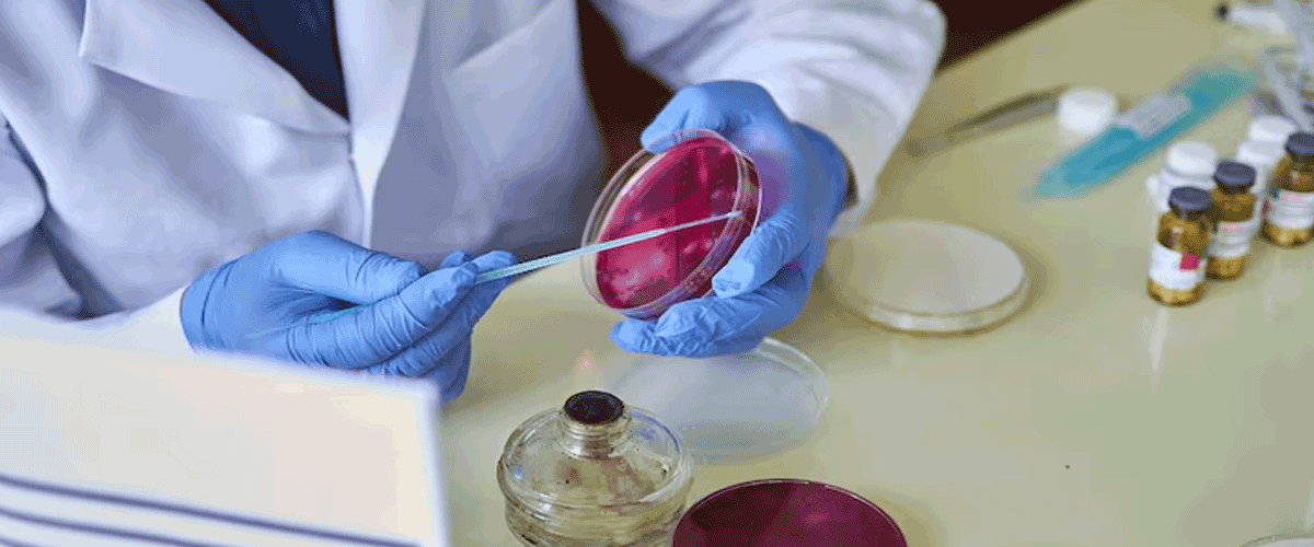 Nanobiotix and J&J’s JNJ-1900 Shows 69% Response Rate in Phase I Oesophageal Cancer Trial