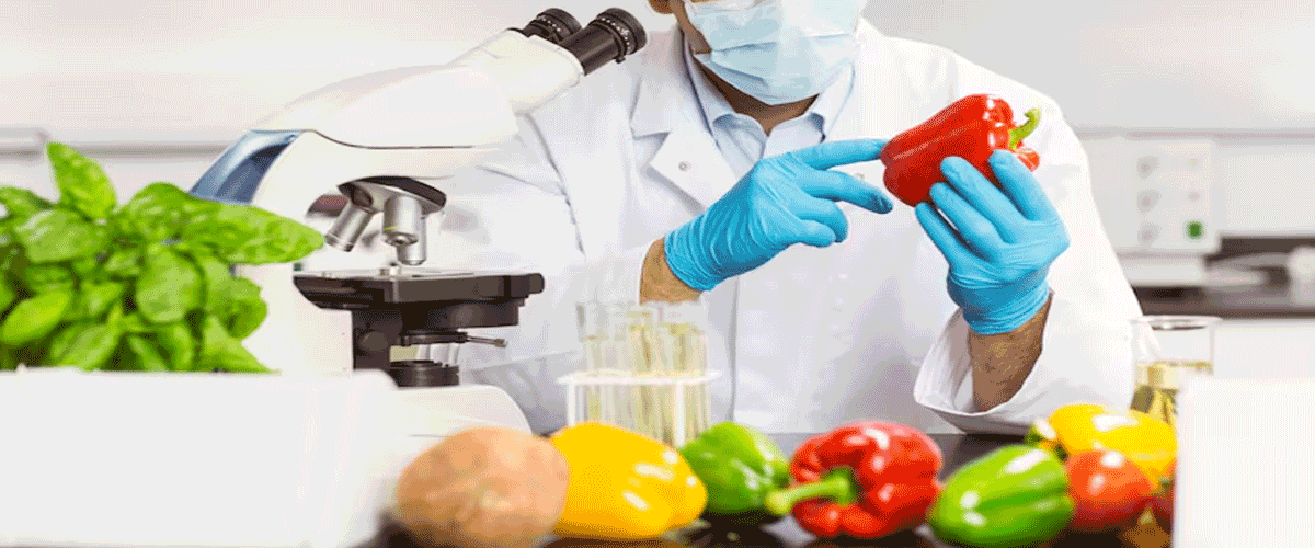 Himachal Pradesh Boosts Food Testing Infrastructure Ahead of Nutrition Policy