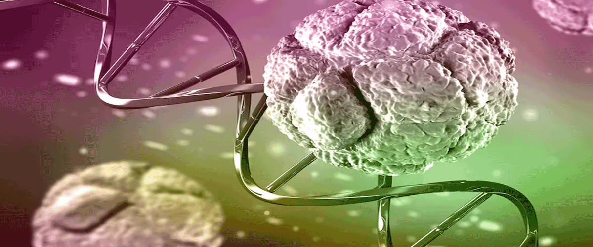Combined Environmental Exposures May Intensify DNA Damage