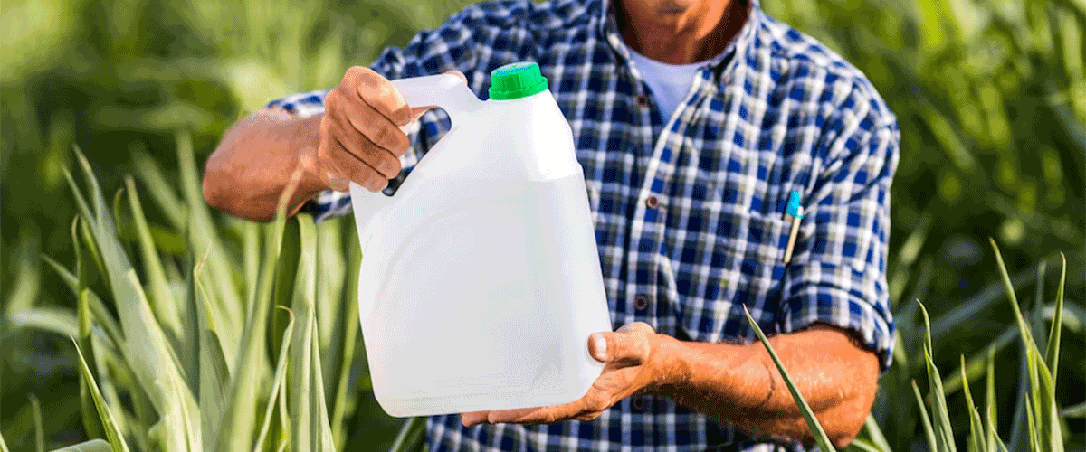 Iowa Senate Approves Bill Shielding Pesticide Companies from Lawsuits