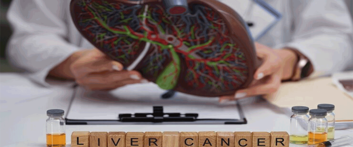 PFAS Chemicals Found to Disrupt Liver Function, Trigger Fat Buildup and Cancer-Linked Changes